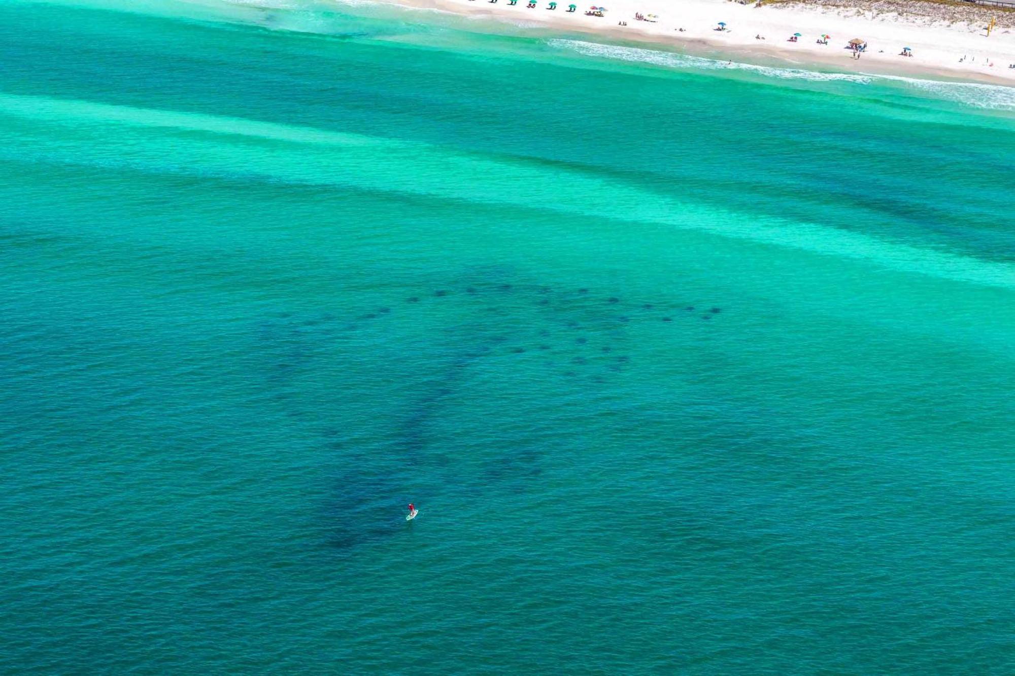Shore Enough Destin Luaran gambar